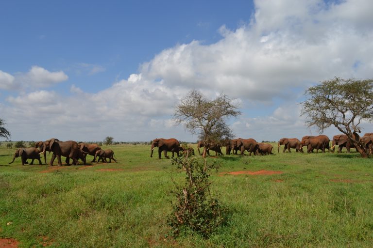 5 Days 4 Nights Wings over Samburu and Masai Mara