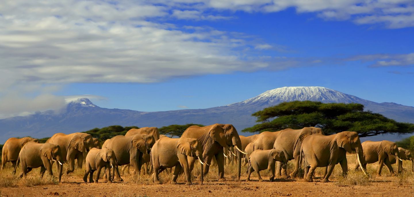 7 Days 6 Night Amboseli/ Aberdares / Lake Nakuru / Masai Mara Luxury Safari Package