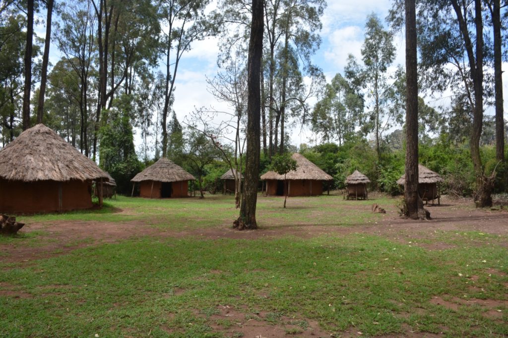 Bomas Of Kenya Tour - 3 Hours