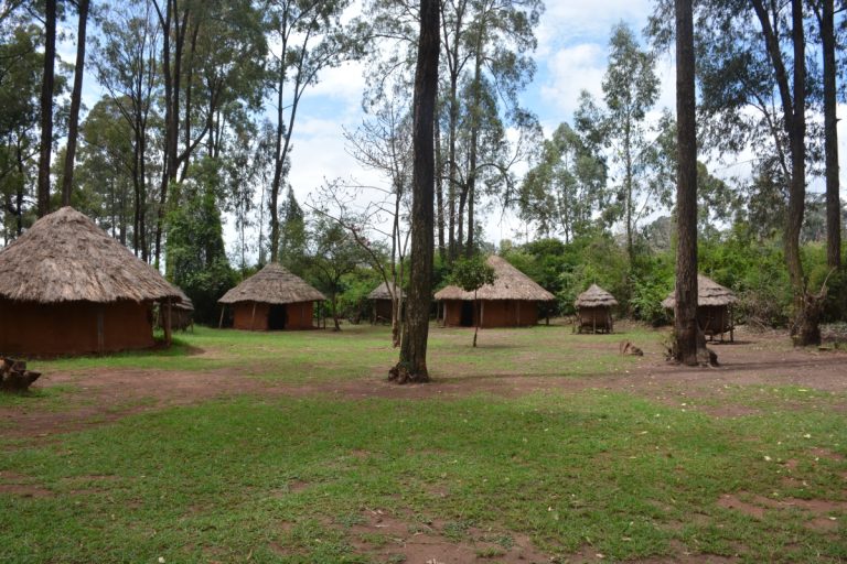 Bomas Of Kenya Tour - 3 Hours