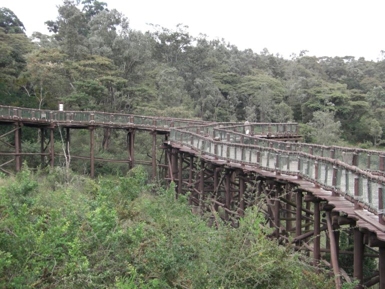 Nairobi Safari Walk Day Tour - 2 Hours