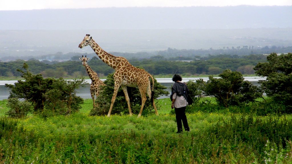 Crescent Island Game Conservancy Tour Naivasha