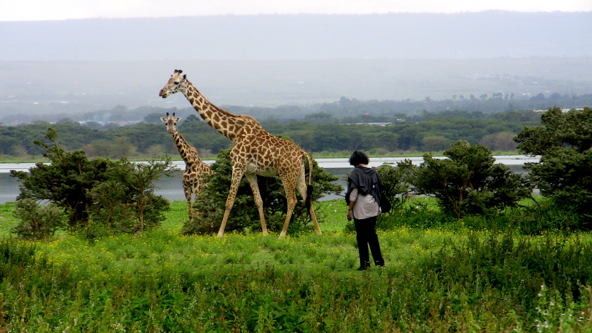 Crescent Island Game Conservancy Tour Naivasha