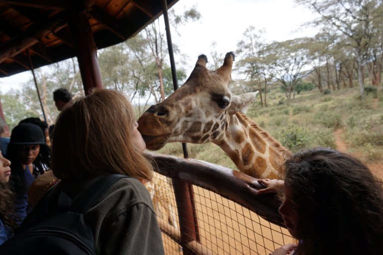 Kazuri Beads Factory And Pottery Centre, Karen Blixen And The Giraffe Centre Tour