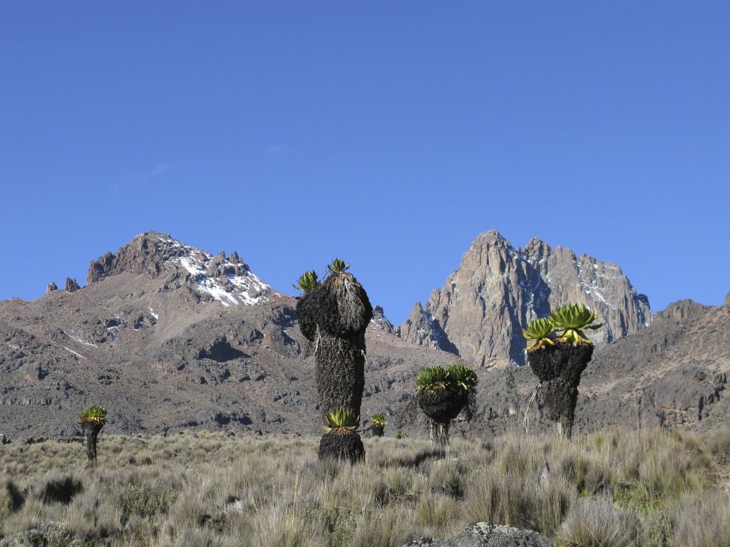 Mt. Kenya 7 Days Chogoria Traverse