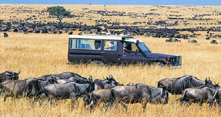 5 Days 4 Nights Ol Pejeta Sweetwaters Conservancy - Nakuru National Park - Masai Mara
