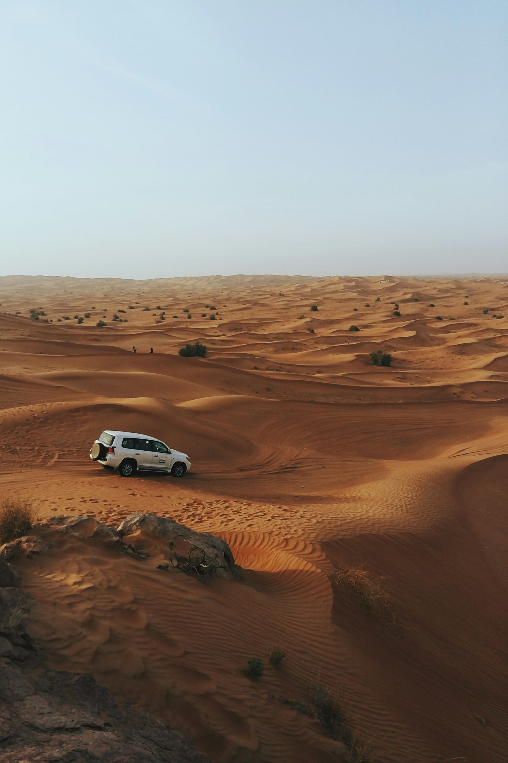 desert rides 2
