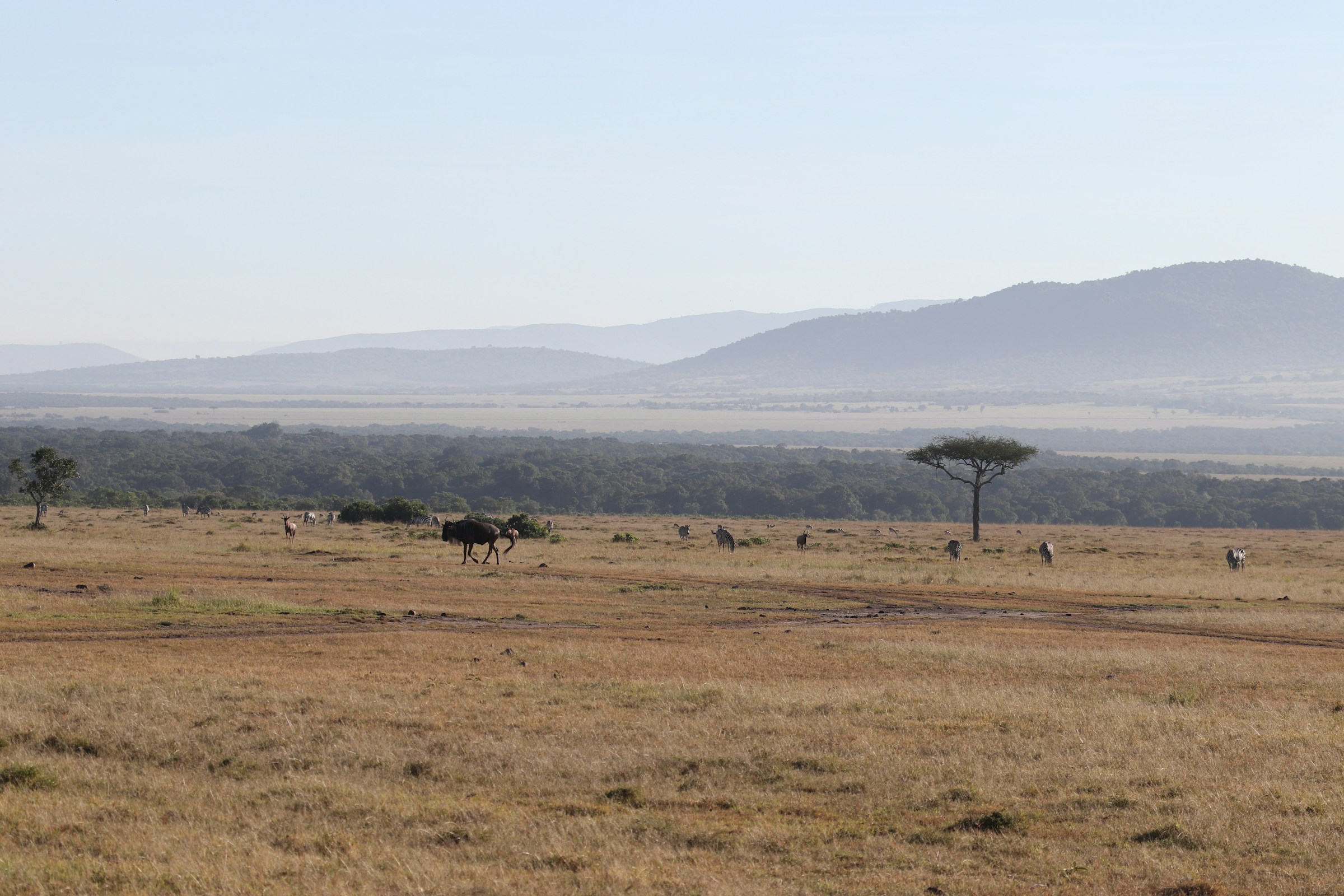 Landscape in Mara